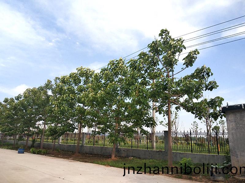 濟寧(ning)市(shi)大氣(qi)環境(jing)質(zhi)量2015年(nian)12月(yue)份13縣(xian)市區排(pai)名