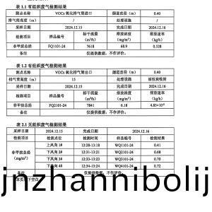 檢測報告（2024.12.31）
