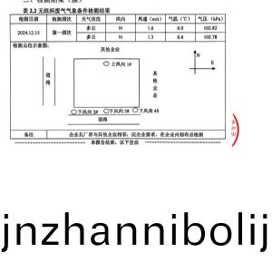 檢(jian)測(ce)報(bao)告（2024.12.31）
